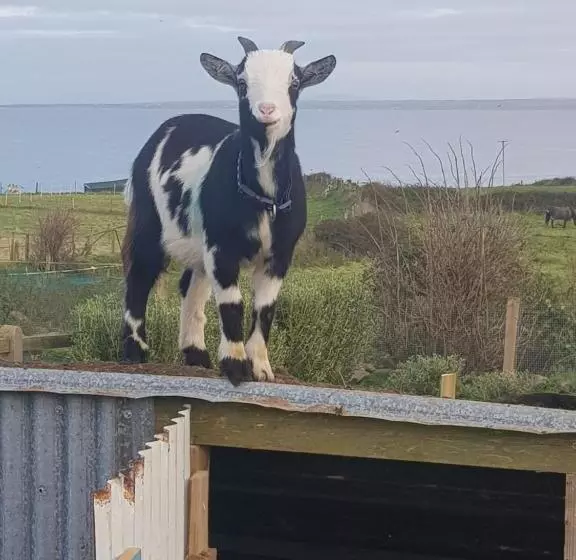 Aamiaismajoitus (B&B) Sunrise View