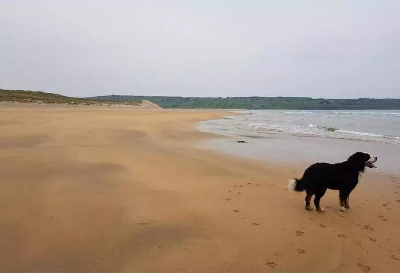 Aamiaismajoitus (B&B) Sunrise View