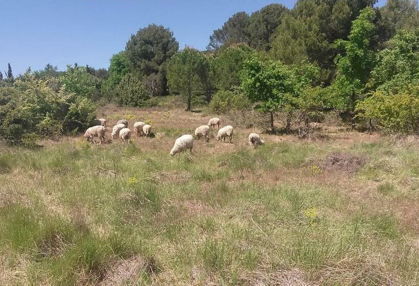 مبيت وإفطار Une Chambre En Luberon
