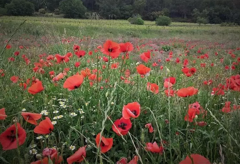 Aamiaismajoitus (B&B) Une Chambre En Luberon