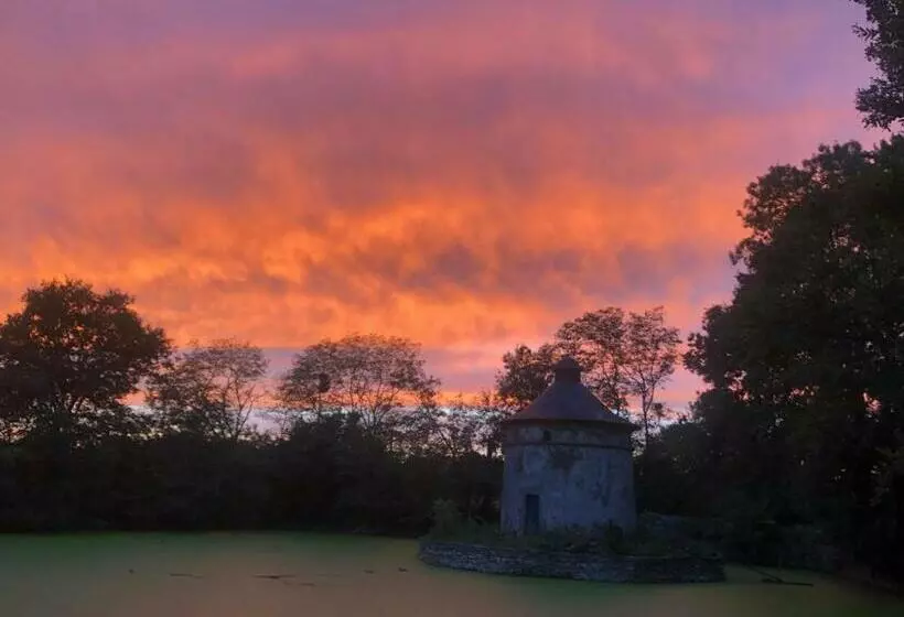 Château De La Preuille Bed & Breakfast
