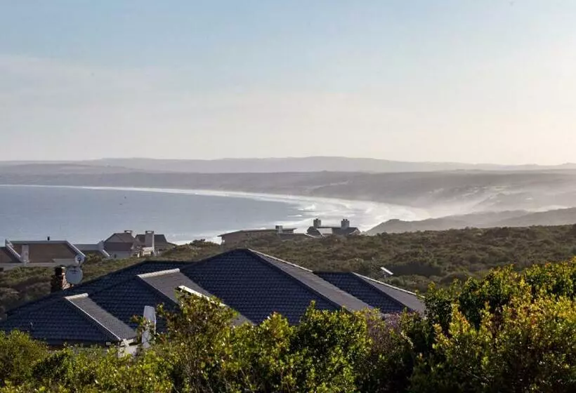 Erika27 Top B&b Choice