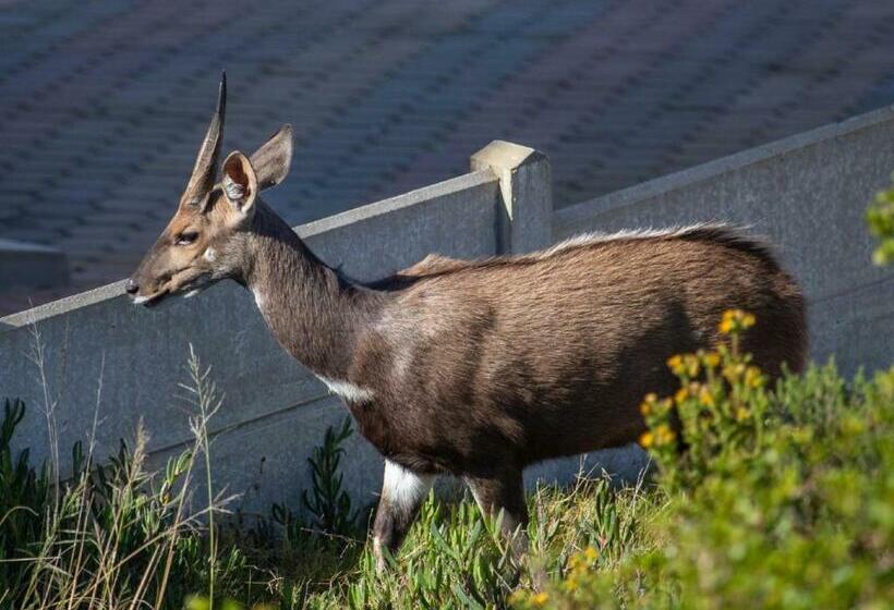 Erika27 Top B&b Choice