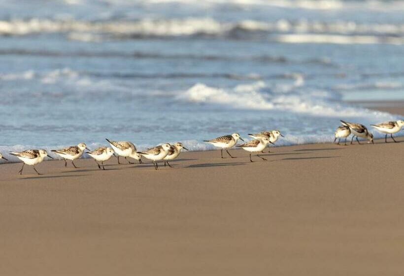 Erika27 Top B&b Choice