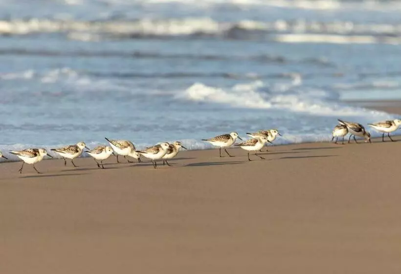 Erika27 Top B&b Choice