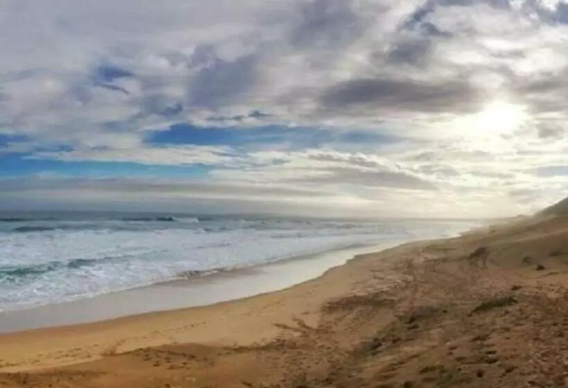 Erika27 Top B&b Choice