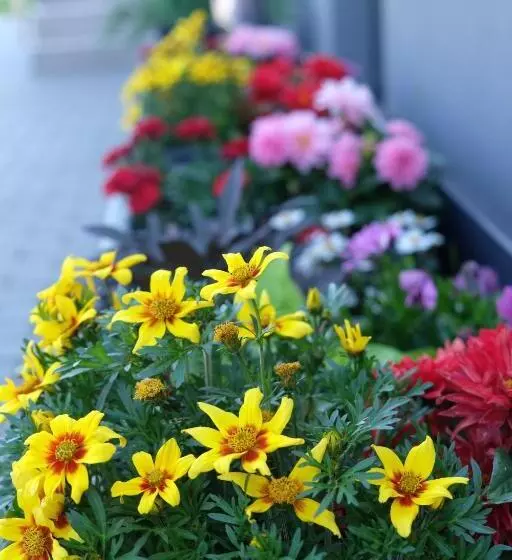 پانسیون Penzión Pod Brezami