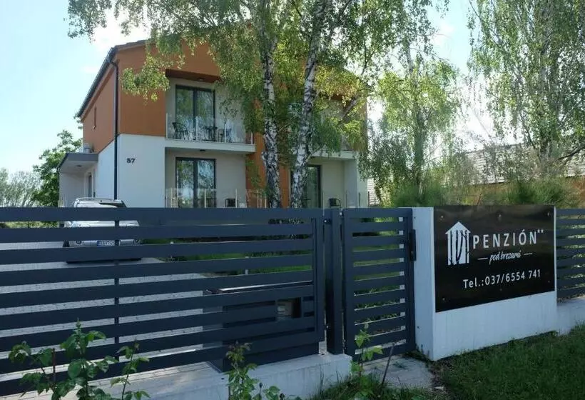 پانسیون Penzión Pod Brezami