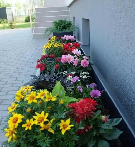 پانسیون Penzión Pod Brezami