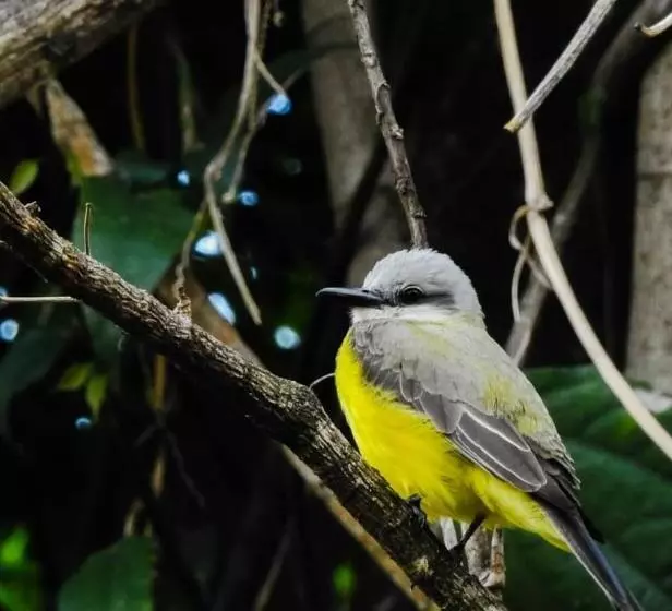 Majatalo Pousada Cachoeira Esmeralda