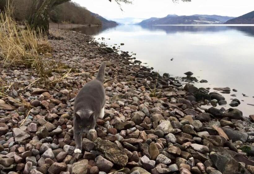 Balachladaich Loch Ness B&b