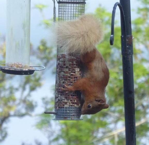 Balachladaich Loch Ness B&b