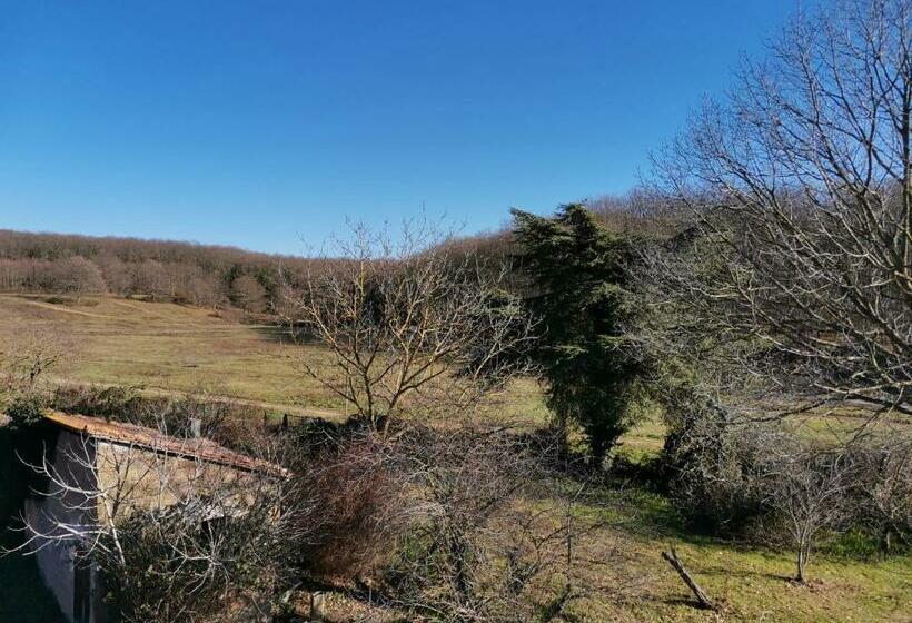 مبيت وإفطار Casa Francigena