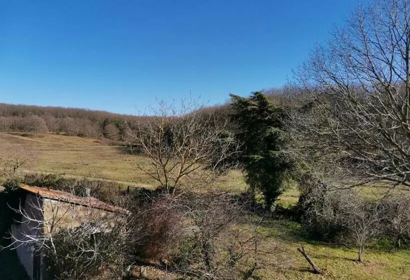 Aamiaismajoitus (B&B) Casa Francigena