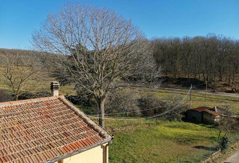 Bed and Breakfast Casa Francigena