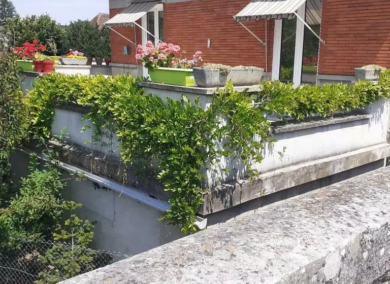 Aamiaismajoitus (B&B) Chambres D Hôtes Gobillon