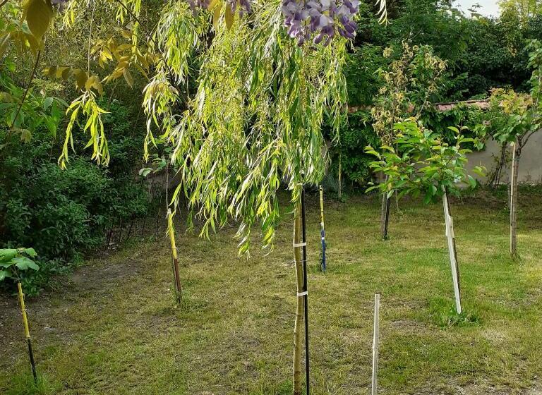 住宿加早餐  Chambres D Hôtes Gobillon