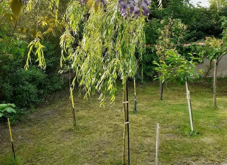 Aamiaismajoitus (B&B) Chambres D Hôtes Gobillon