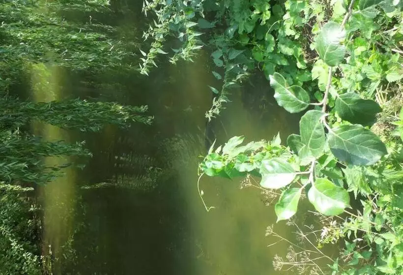 Aamiaismajoitus (B&B) Den Laage Hof