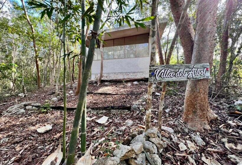 Bed and Breakfast El Encanto   Hotel Boutique