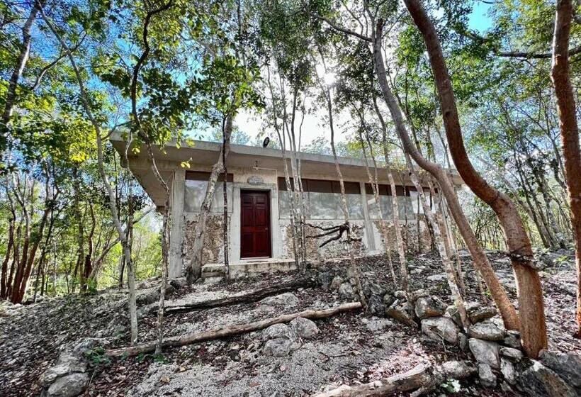 Bed and Breakfast El Encanto   Hotel Boutique