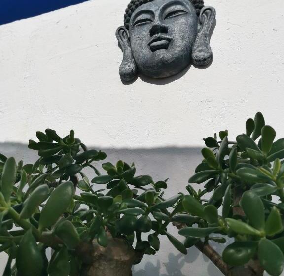 ベッドアンドブレックファースト Habitaciãƒâ³n Centro Gandia