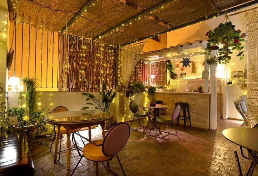 Bed and Breakfast La Casa De Los Coy