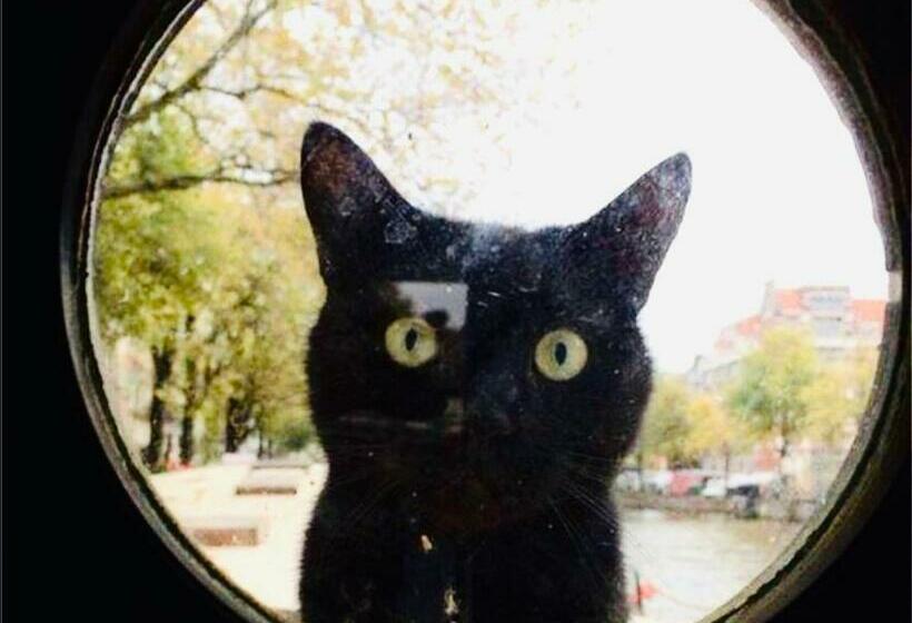 Bed and Breakfast Romantic Houseboat