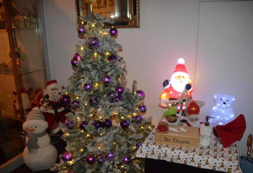 تختخواب و صبحانه Ter Thuyne