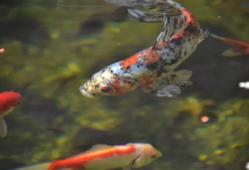 ベッドアンドブレックファースト Ter Thuyne