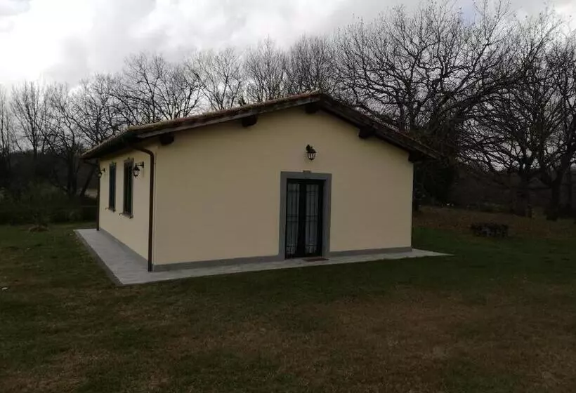ホテル Agriturismo Podere Bianca Maria
