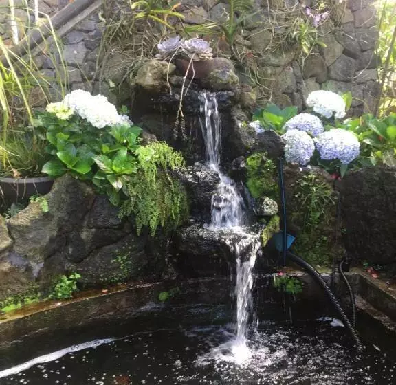 پانسیون Coeur Creole