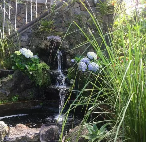 پانسیون Coeur Creole