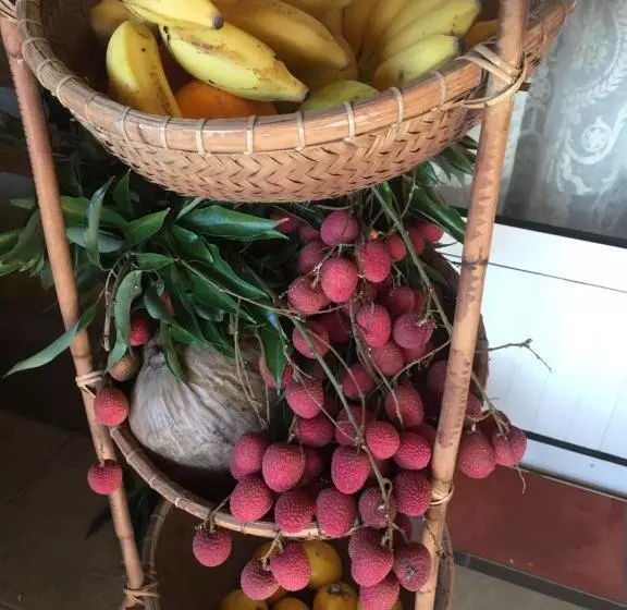 پانسیون Coeur Creole