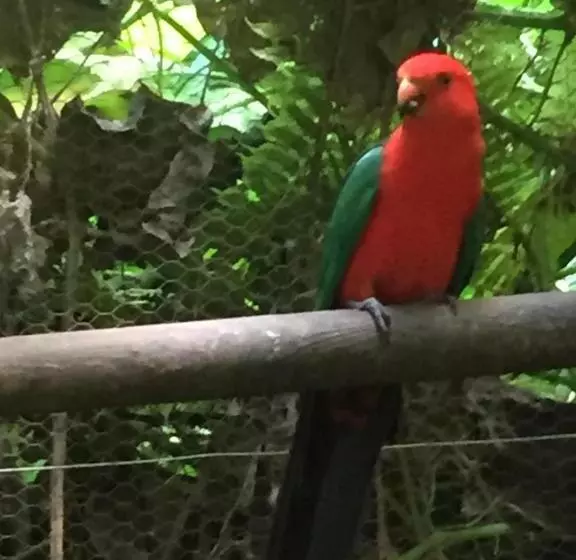 پانسیون Coeur Creole