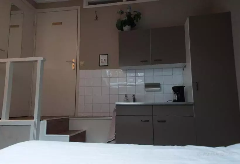 Majatalo T Zeeuwse Licht