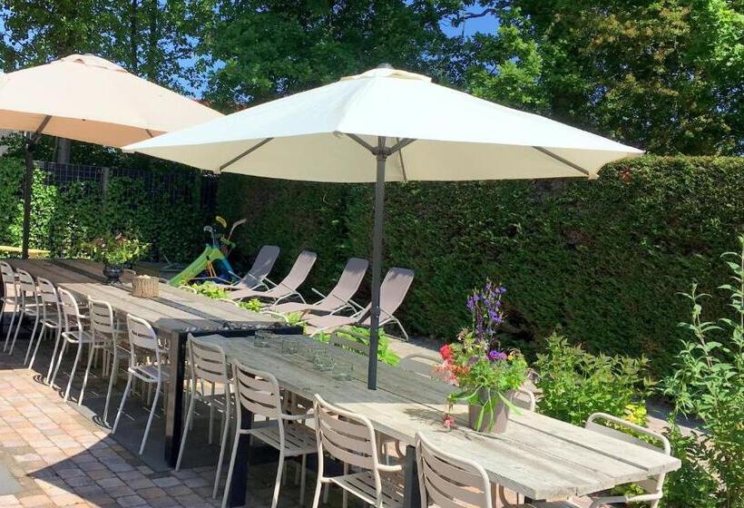 פנסיון T Zeeuwse Licht