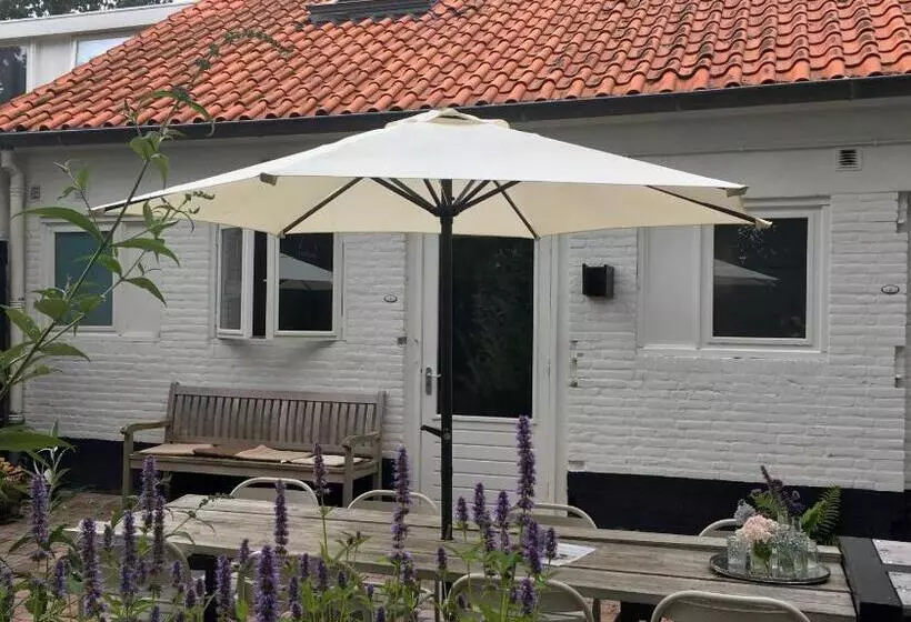 Majatalo T Zeeuwse Licht