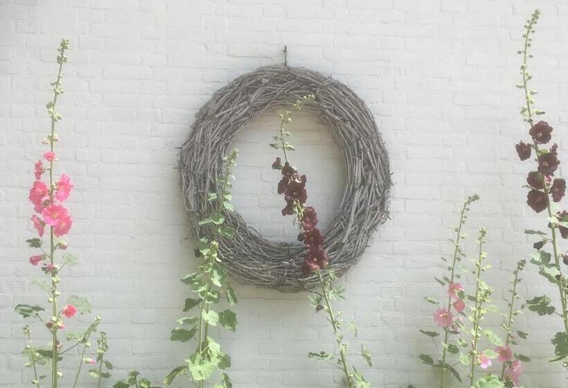 פנסיון T Zeeuwse Licht