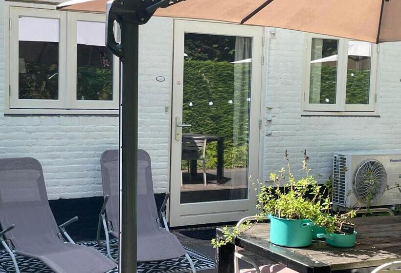 פנסיון T Zeeuwse Licht