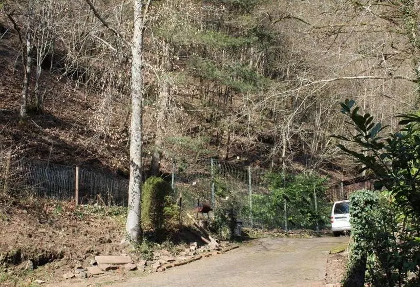 ペンション Haus Zur Entersburg