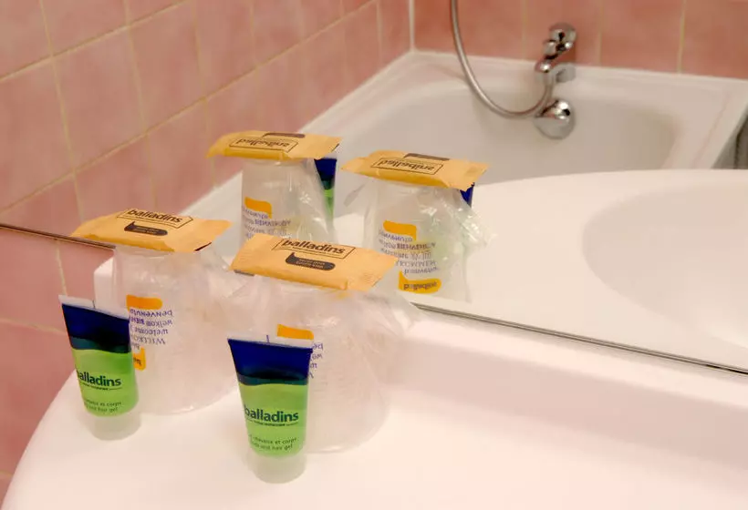 酒店 Hôtel Savigny-Le-Temple