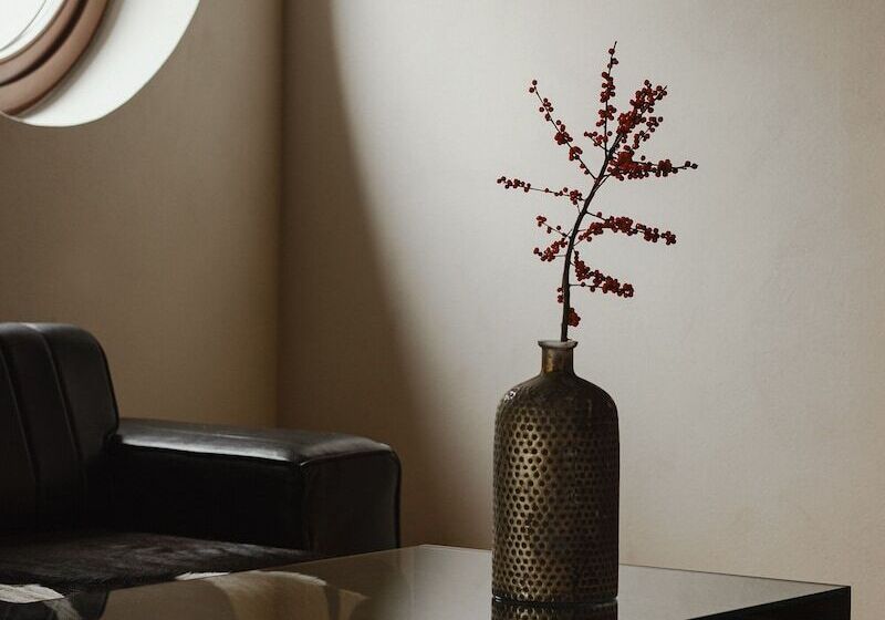 בית מלון כפרי Monopol