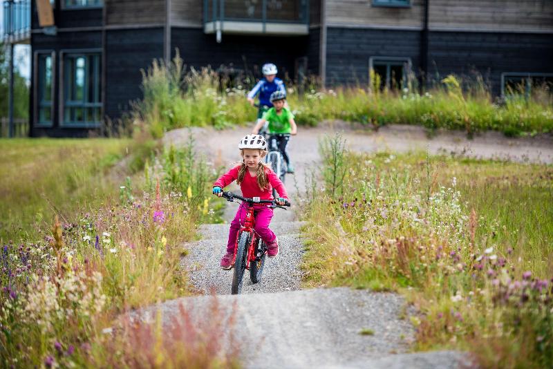 Отель Radisson Blu Resort, Trysil