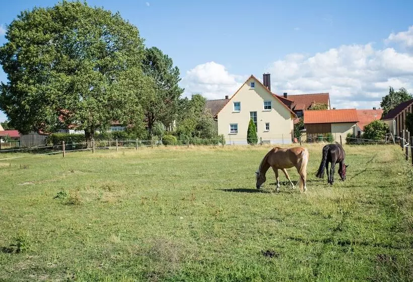 Отель Reiterhof Altmühlsee