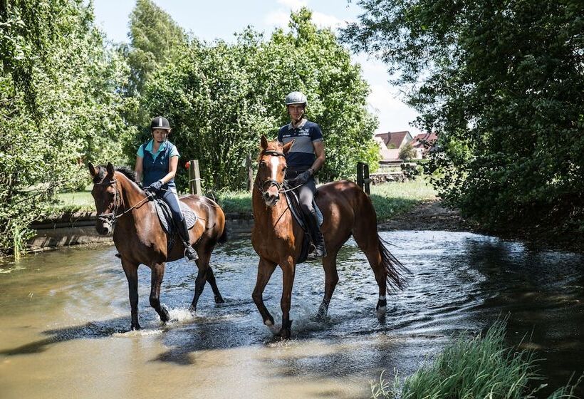 ホテル Reiterhof Altmühlsee