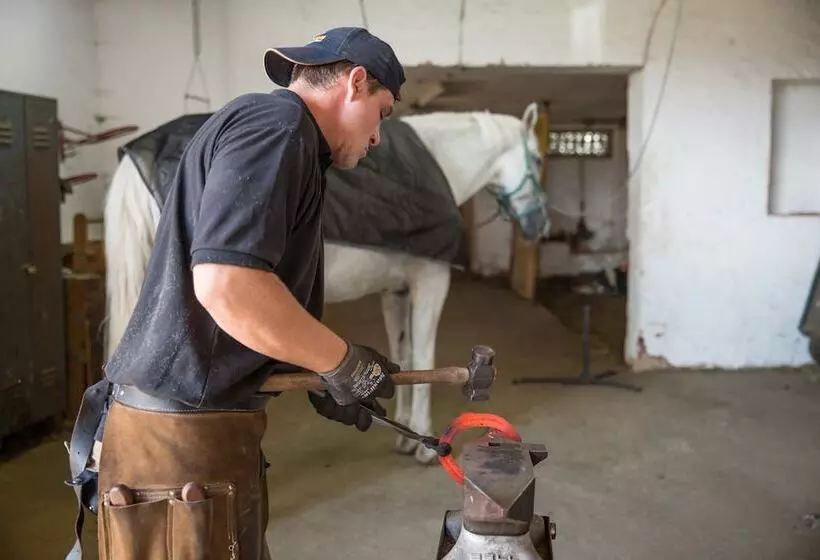 Отель Reiterhof Altmühlsee