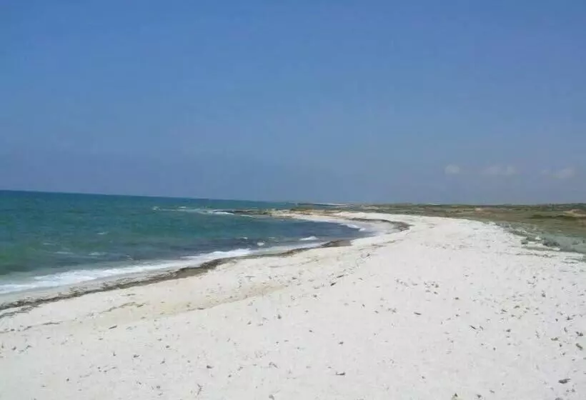 ホテル Summertime