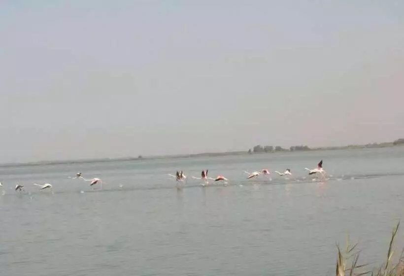 ホテル Summertime