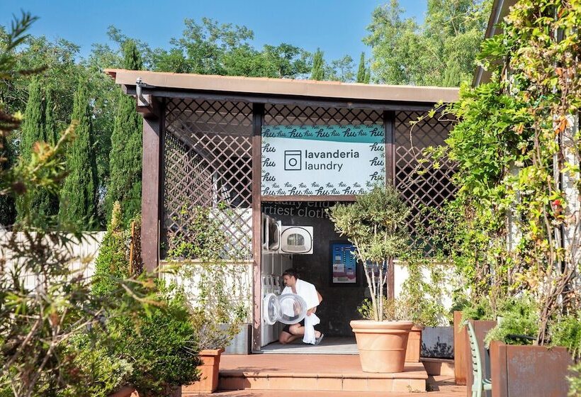 Hu Roma Camping In Town